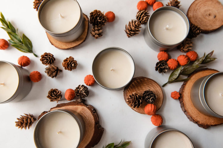 Fall Travel Tin Scents surrounded with pine cones and wooden coasters