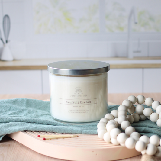 Sea Salt Orchid 3 Wick Candle
